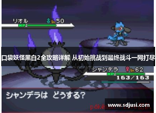 口袋妖怪黑白2全攻略详解 从初始挑战到最终战斗一网打尽